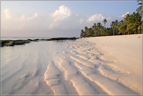 trees sea sky india beach sunrise sand paradise palm lakshadweepislands woolyboy