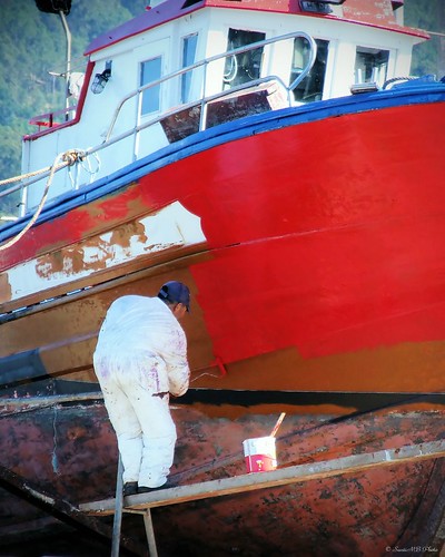 españa boat spain paint barco ship galicia galiza stolen fujiprovia400f pintura costadamorte acoruña robado laxe vacaciones2009