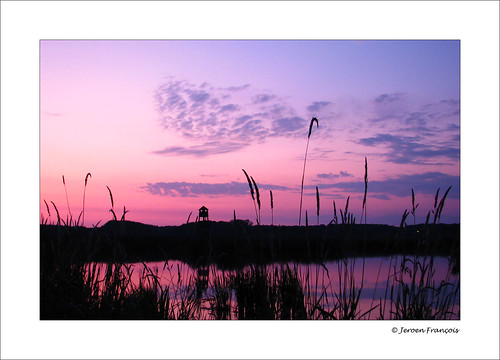 morning sky lake reflection sunrise belgium violet watchtower zonsopgang zoutleeuw haspengouw vinne vlaamsbrabant visiongroup canonpowershots5is perfectsunsetssunrisesandskys visionquality100