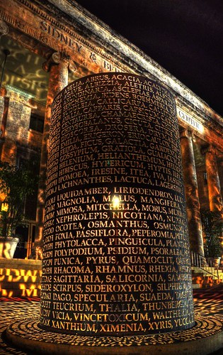 light shadow sky orange building art statue architecture night writing downtown letters cast ftmyers hdr thechallengefactory