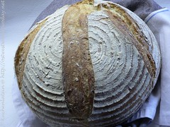 ©Anfängerbrot - Brot aus Grundteig 003