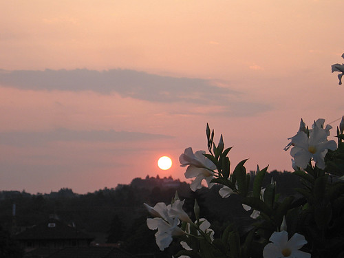 flowers sky clouds sunrise italia nuvole alba cielo fiori