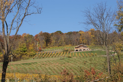 county virginia wine winery loudoun bluemont bluemontvineyard