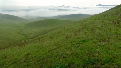 grassland mist sanluisreservoirstaterecreationarea