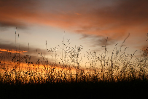 sunset red sky grass silhouette fire darkness hill edge difference