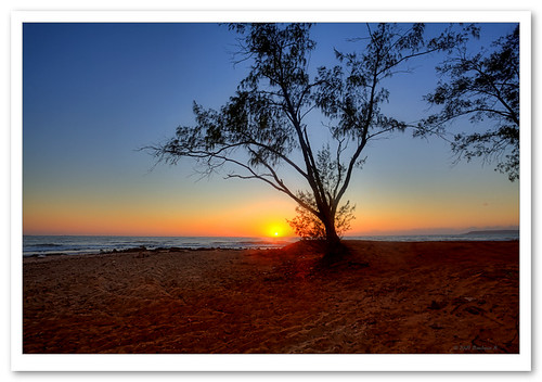 tree beach sunrise geotagged sand australia hdr northernterritory arnhemland gove nhulunbuy townbeach photomatix arafurasea barbarajh govepeninsula gadalathami nhulunbuytownbeach eastarnhemland geo:lat=12186138 geo:lon=136796479