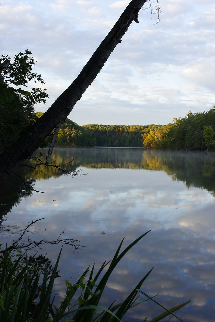 Tippy Dam Pond Map - Michigan - Mapcarta