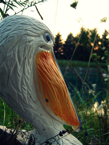 flowers sunset ohio orange bird pond bokeh beak pelican plastic flowerpot lawnornament holder pemberville