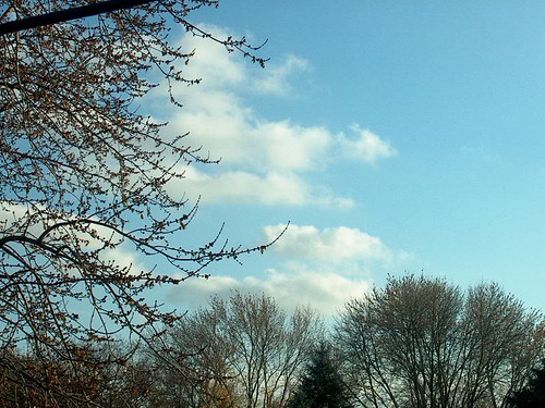 blue trees sky mankato