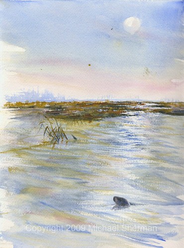 art watercolor painting landscape otter transparent slough pleinair mapleriver gratiotcounty mapleriverflooding
