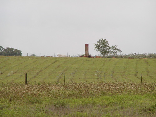 family field texas farm country nixon leesville nixontexas leesvilletexas