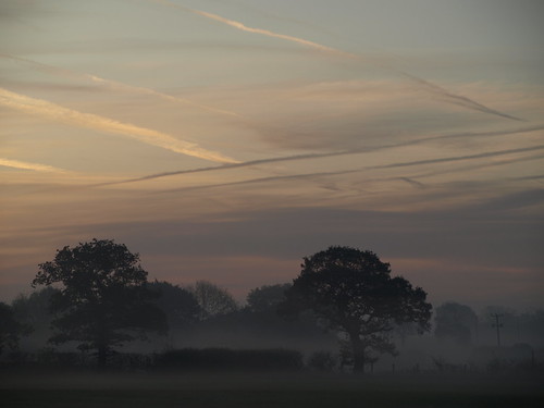 morning mist fall sunrise cheshire oaks chill e510 wimboldsley