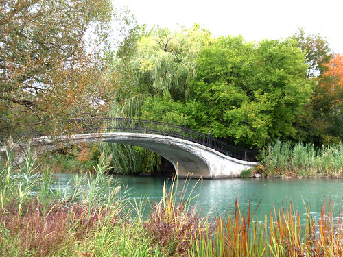 bridge autumn tree water willow