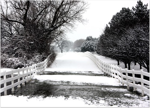 winter copyright usa snow fence river landscape illinois photographer cerca fotografo reservado luizcastro patway luizfelipecastro luizfelipedasilvadecastro