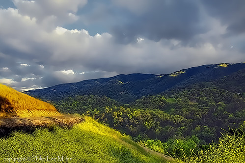 california painterly nature landscape artistic rollinghills impressionistic stormclouds latespring topazclean curvedroads