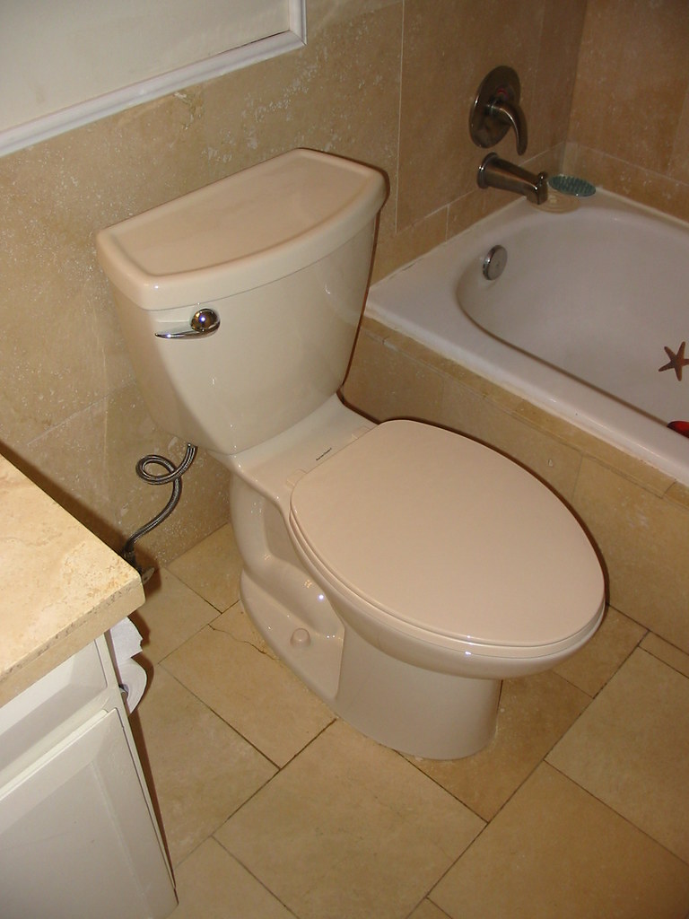 New Toilet