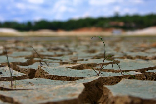 巴西一處乾涸的土地。