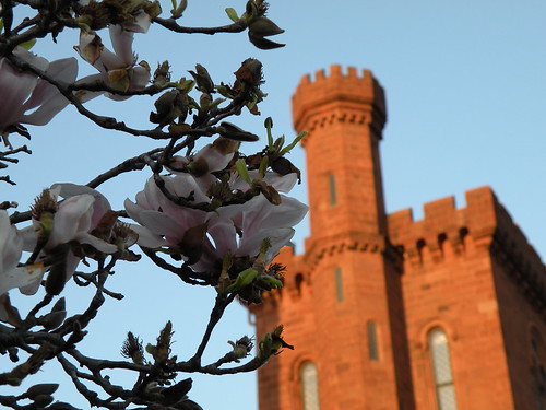 Smithsonian Castle in Spring