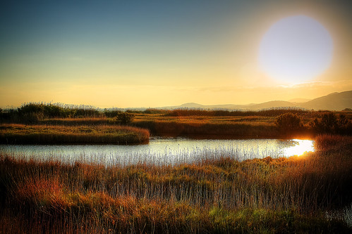 sunset sun lake david canon landscape lago atardecer eos paisaje puzol marjal marjaldelmoro puçol 1000d eos1000d deivysv