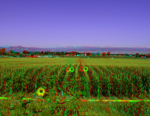 field canon landscape geotagged 3d corn colorado country boulder stereo sunflower co farms mapped twincam twinned redcyan analgyph sx110is