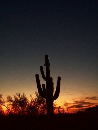 morning arizona cactus sky sunrise dawn star florence desert