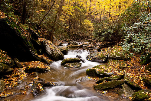 autumn fall leaves rocks stream foliage pa tucquanglen holtwood lancasterconservancy
