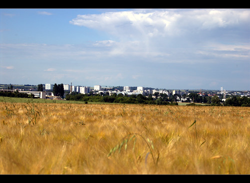 city field landscape nikon view wheat champs session paysage blé borny d40