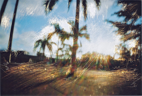 sunset art palms scratches pinhole altphoto matchboxpinhole fotoferida woundedphoto pinlux ruriak