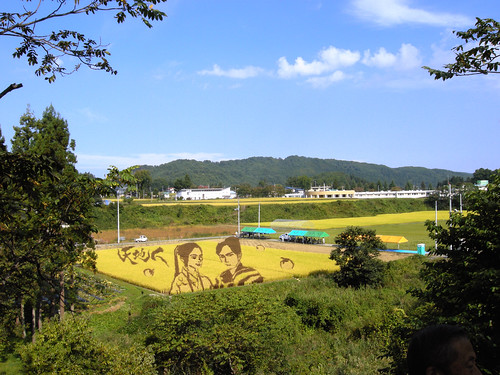 landscape yamagata 風景 山形 yonezawa 米沢 tenchijin 天地人 paddyfieldart 田んぼアート