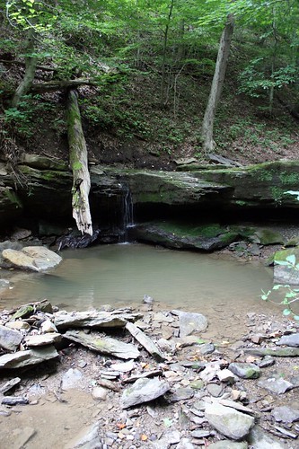 creek woods stream westvirginia limestone swimminghole tomsrun