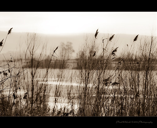 travel nature sepia photoshop canon landscape photography eos yahoo google flickr raw image © adobe lightroom copyrighted pixelwork 500px adobephotoshoplightroom canoneos450d thelightpainterssociety sigma70200mmf28exdgmakrohsmii pixelwork©2009photography oliverhoell photoscapev34 allphotoscopyrighted