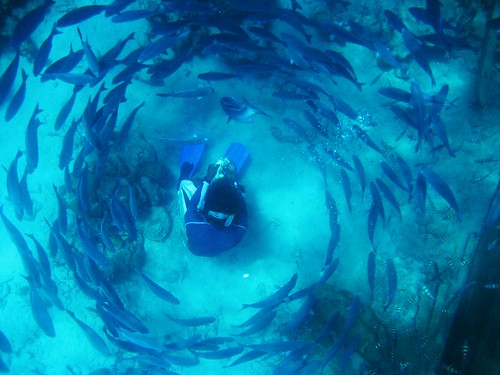 Underwater in Barbados