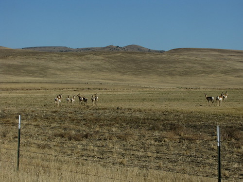 cemetery oregon antelope pronghorn wascocounty photoceramics deadmantalking