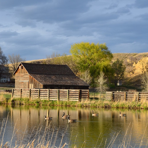 sky barn rural geese pond nikon colorado rustic scenic soe goldenhour flickraward d5100