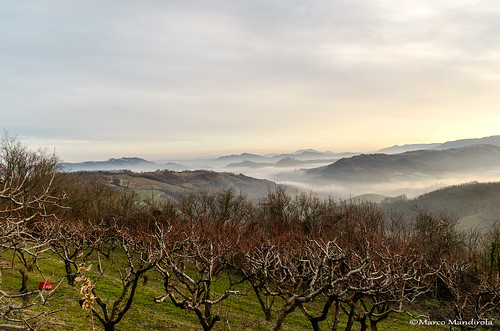 avolasca nebbia inverno hills landscape paesaggio collitortonesi tortonese alba