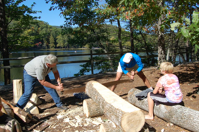 Cross Cut Saw demonstration - learning how the CCC built the cabins and other structures at Virginia State Parks - Douthat State Park Virginia Apple Day