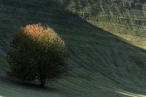 autumn fall nature geotagged hills matte kaiserstuhl mowed sidelight badberg challengeyouwinner schelingerhöhe geo:lat=48101746 geo:lon=769563