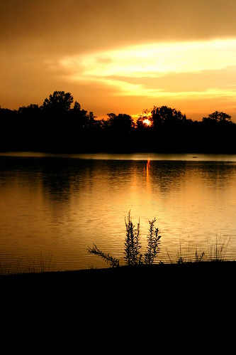 sunset rain 50mm golden pond thunderstorm floydsknobbs