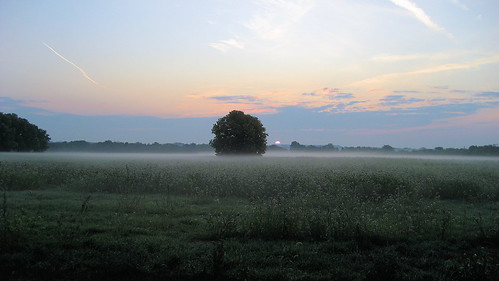 morning mist field fog sunrise day dof