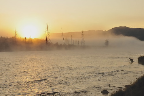 fog sunrise yellowstonenationalpark madisonriver