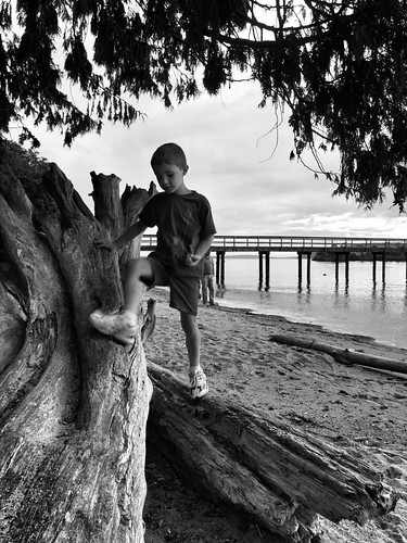 ocean camp blackandwhite bw beach iso200 washington dock sand child pacific gimp driftwood ymca f11 ep1 c2g orkila 17mm camporkila zd presidentchannel olympusep1