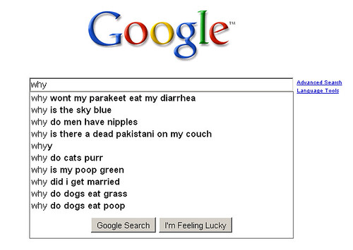 Google Answers Why?