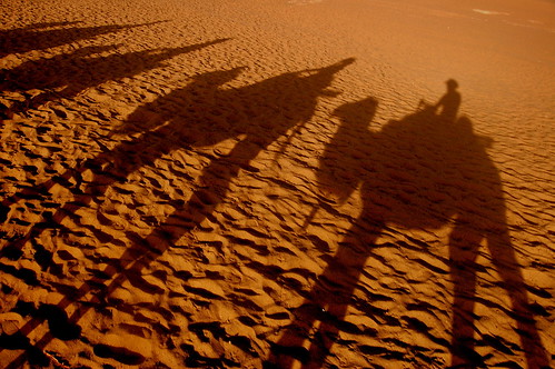 china sunset shadow orange sand desert august camel 2009 gobi gansu dunhuang