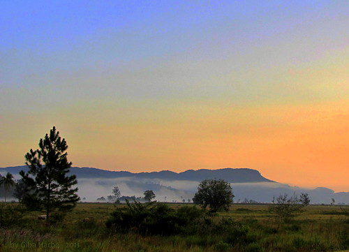 morning brasil landscape early paisagem manhã