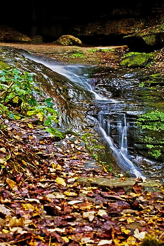 fall water leaves illinois rocks ferne clyffe