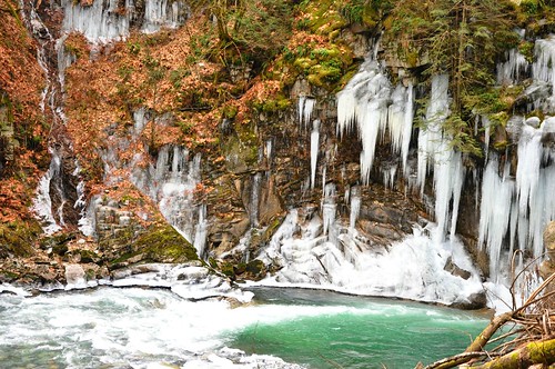 ice icicle water rapids foliage color bc britishcolumbia lowermainland canada frozen