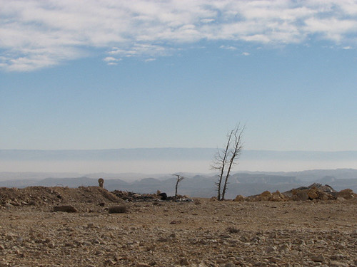 israel desert negev mitzperamon