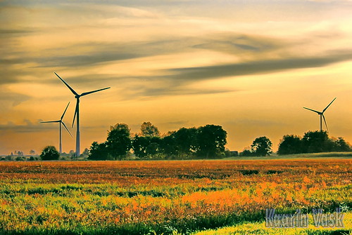 summer clouds landscape geotagged estonia power pentax windmills 2009 km est eesti suvi tuulepark winwind läänevirumaa virunigula wwd3 winwindoy tüükri