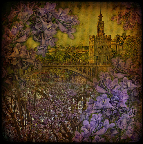 sevilla spain seville textures jacaranda andalusia soe hdr torredeloro infinestyle memoriesbook theunforgettablepictures atqueartificia magicunicornverybest selectbestexcellence magicunicornmasterpiece sbfmasterpiece