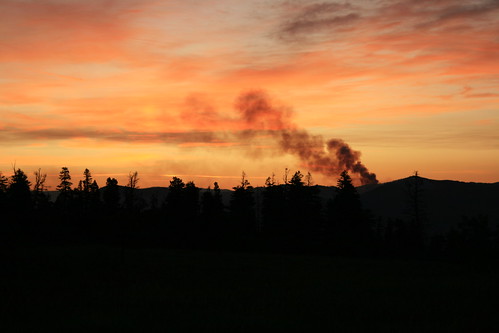 forest sunrise fire